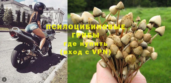 прущий лед Арсеньев