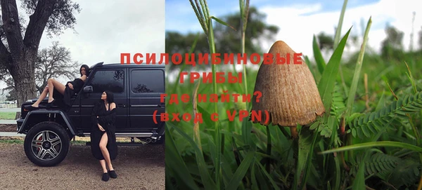 прущий лед Арсеньев
