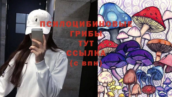 дмт Аркадак